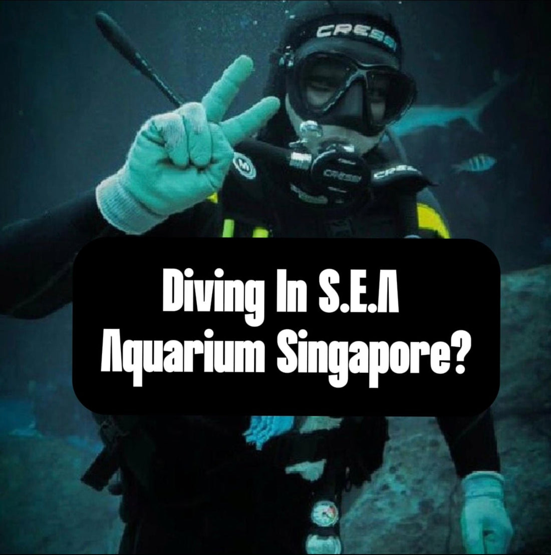 In Singapore? No diving spots? - Sons Of Triton